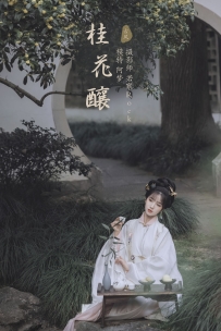 【YiTuYu-艺图语】2021.11.22 桂花酿 - 阿梦 [35P-313MB]